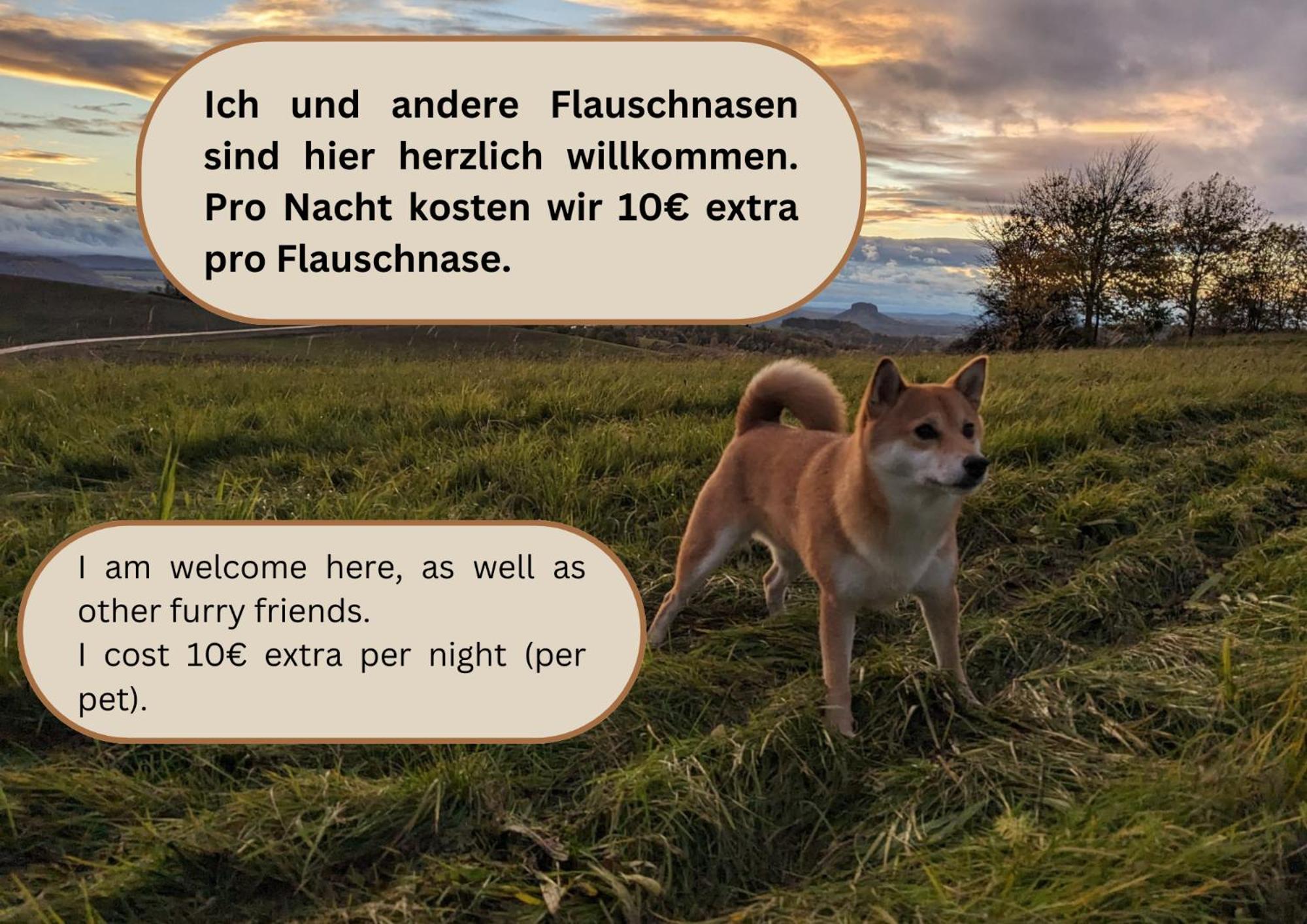 S1 - Urlaubsmagie - Direkt Loswandern, Bis Zu 4P Sebnitz Buitenkant foto